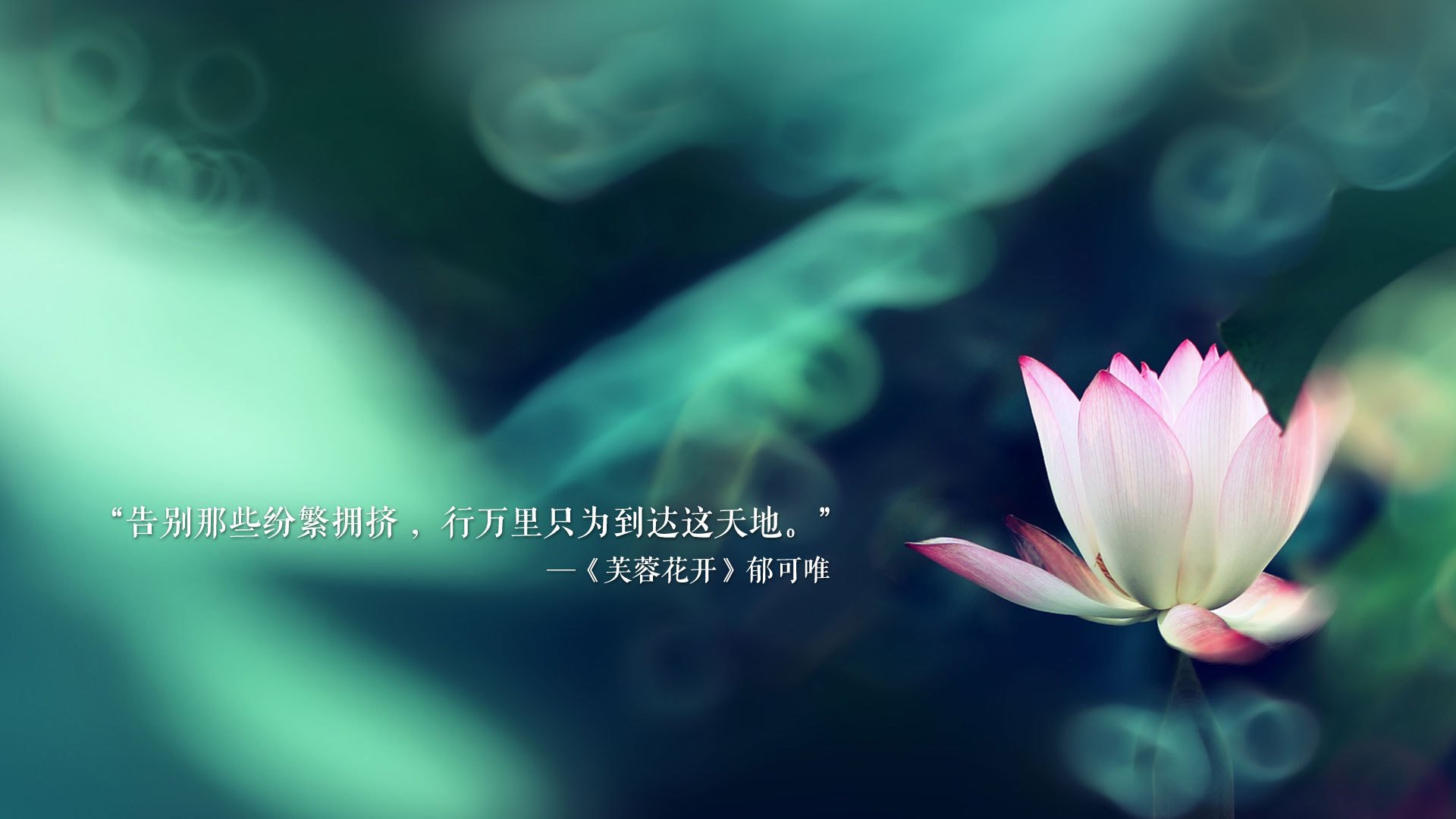 APEX英雄 战队教练团队调整阵容，apex 职业队