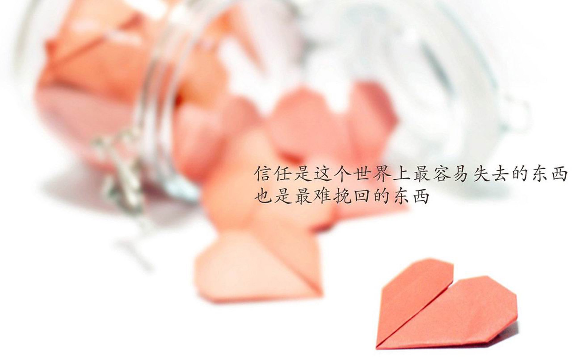 _奇才主场不败纪录再延续_，奇才主场在哪