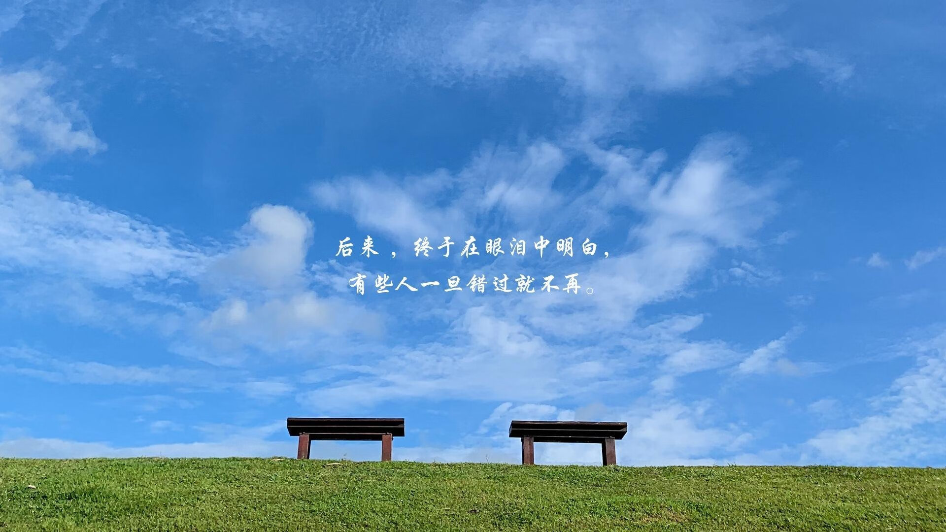逆流而上的勇气：新秀车手的坚持与突破，逆流而上的你车是什么牌子