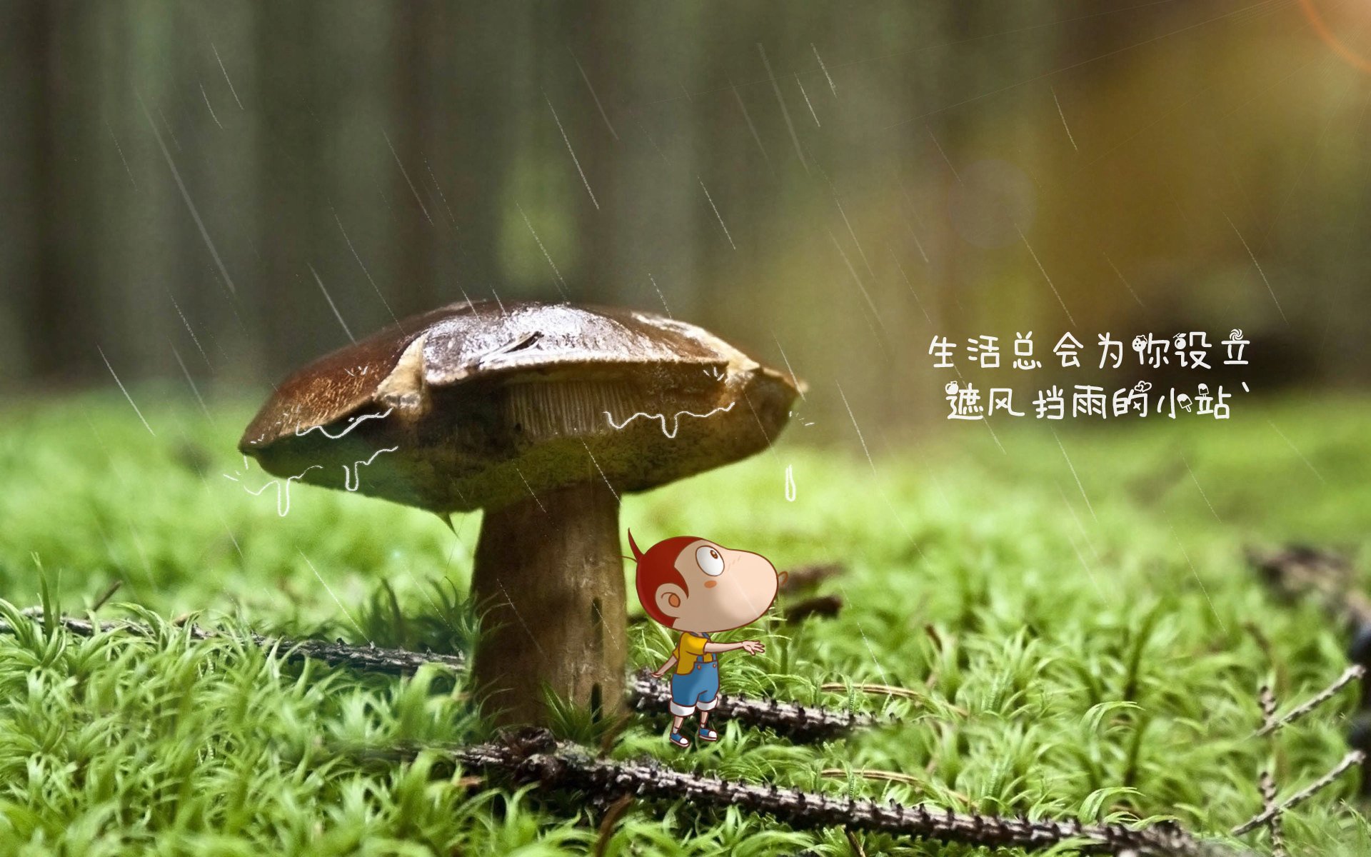 篮球运动员训练负荷智能监测与疲劳恢复的综合研究，篮球项目负荷特征分析