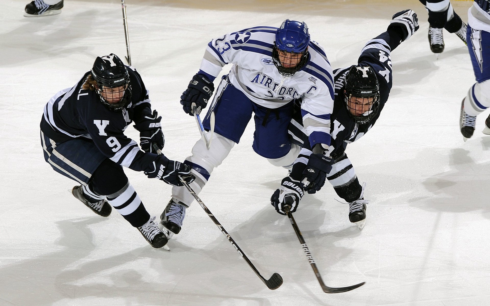 开云·体育官网-绿色篮球：环保理念贯穿联盟每一个细节，绿色篮球是什么牌子